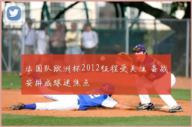 法国队欧洲杯2012征程受关注 备战安排成球迷焦点