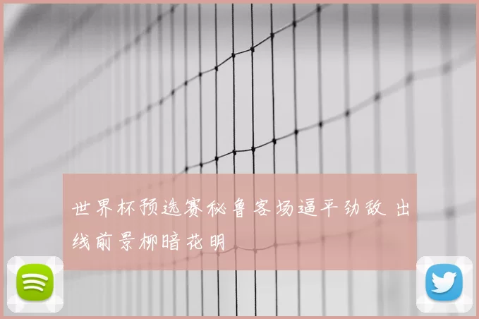 世界杯预选赛秘鲁客场逼平劲敌 出线前景柳暗花明