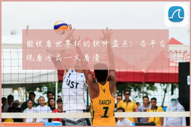 能收看世界杯的软件盘点：各平台观看方式一文看清