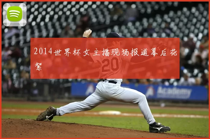 2014世界杯女主播现场报道幕后花絮