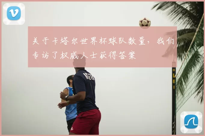关于卡塔尔世界杯球队数量，我们专访了权威人士获得答案