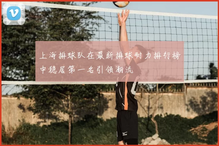 上海排球队在最新排球耐力排行榜中稳居第一名引领潮流