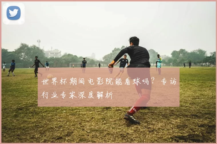 世界杯期间电影院能看球吗？专访行业专家深度解析