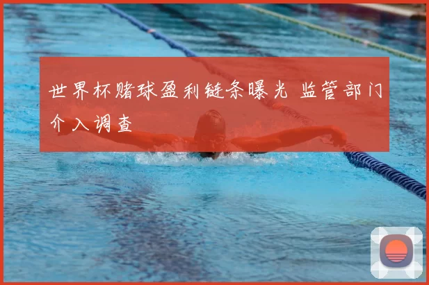 世界杯赌球盈利链条曝光 监管部门介入调查