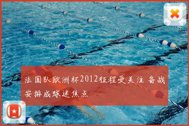 法国队欧洲杯2012征程受关注 备战安排成球迷焦点