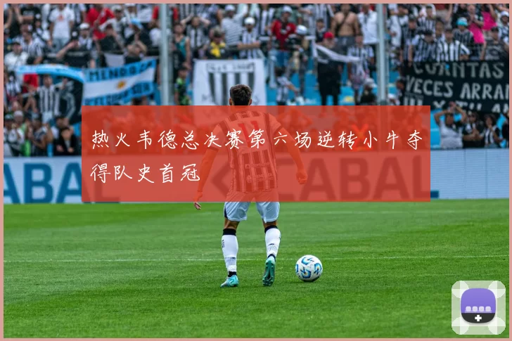 热火韦德总决赛第六场逆转小牛夺得队史首冠
