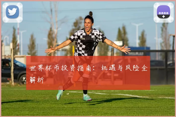 世界杯币投资指南:机遇与风险全解析