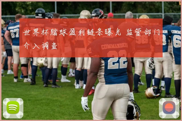 世界杯赌球盈利链条曝光 监管部门介入调查