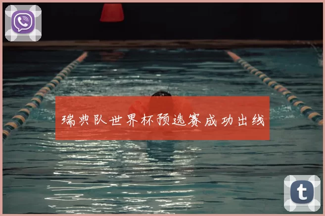 瑞典队世界杯预选赛成功出线