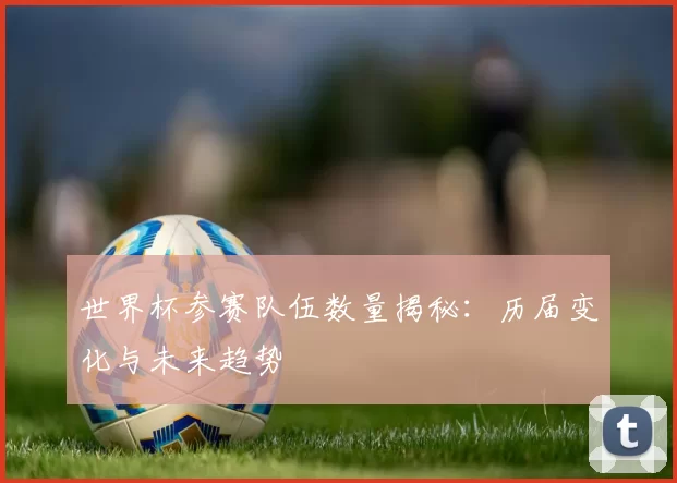 世界杯参赛队伍数量揭秘：历届变化与未来趋势