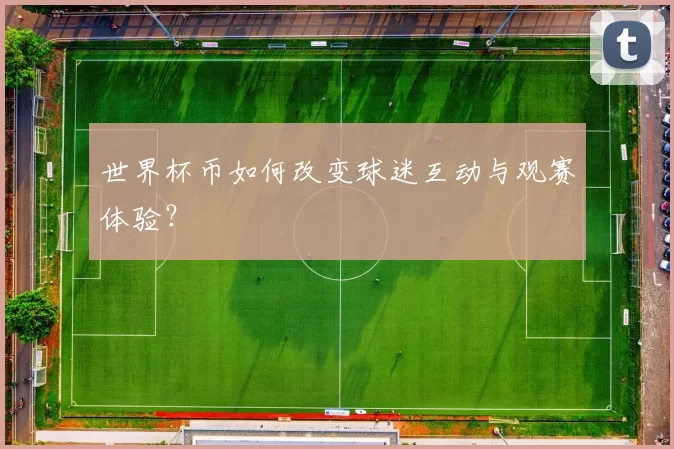 世界杯币如何改变球迷互动与观赛体验？