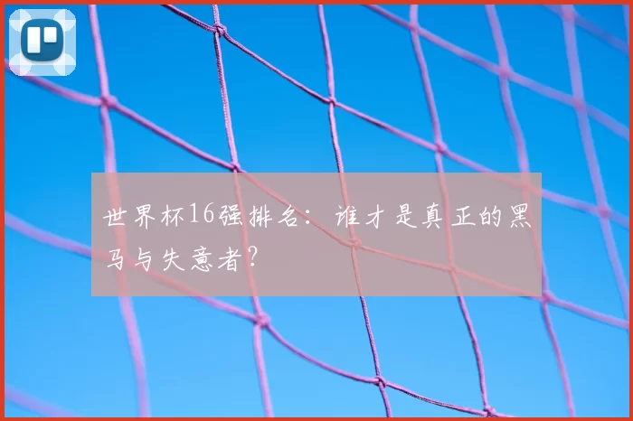 世界杯16强排名：谁才是真正的黑马与失意者？