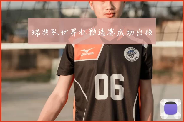 瑞典队世界杯预选赛成功出线