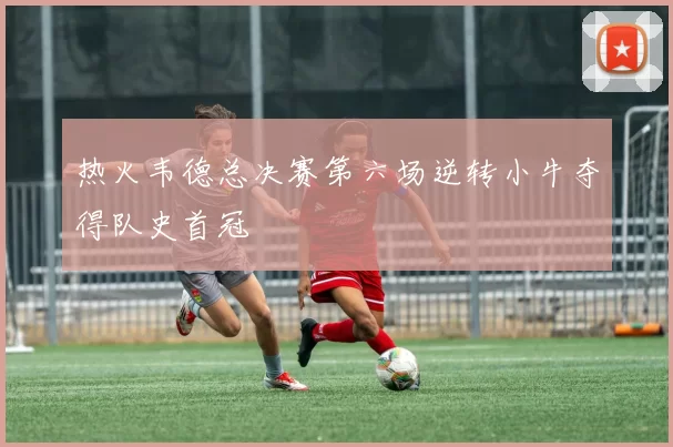 热火韦德总决赛第六场逆转小牛夺得队史首冠