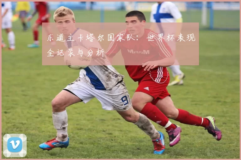 东道主卡塔尔国家队:世界杯表现全记录与分析